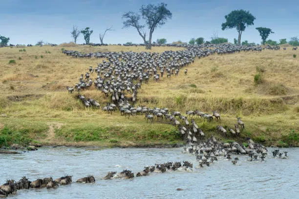 Discover Lake Babati, Manyara Safari in Tanzania