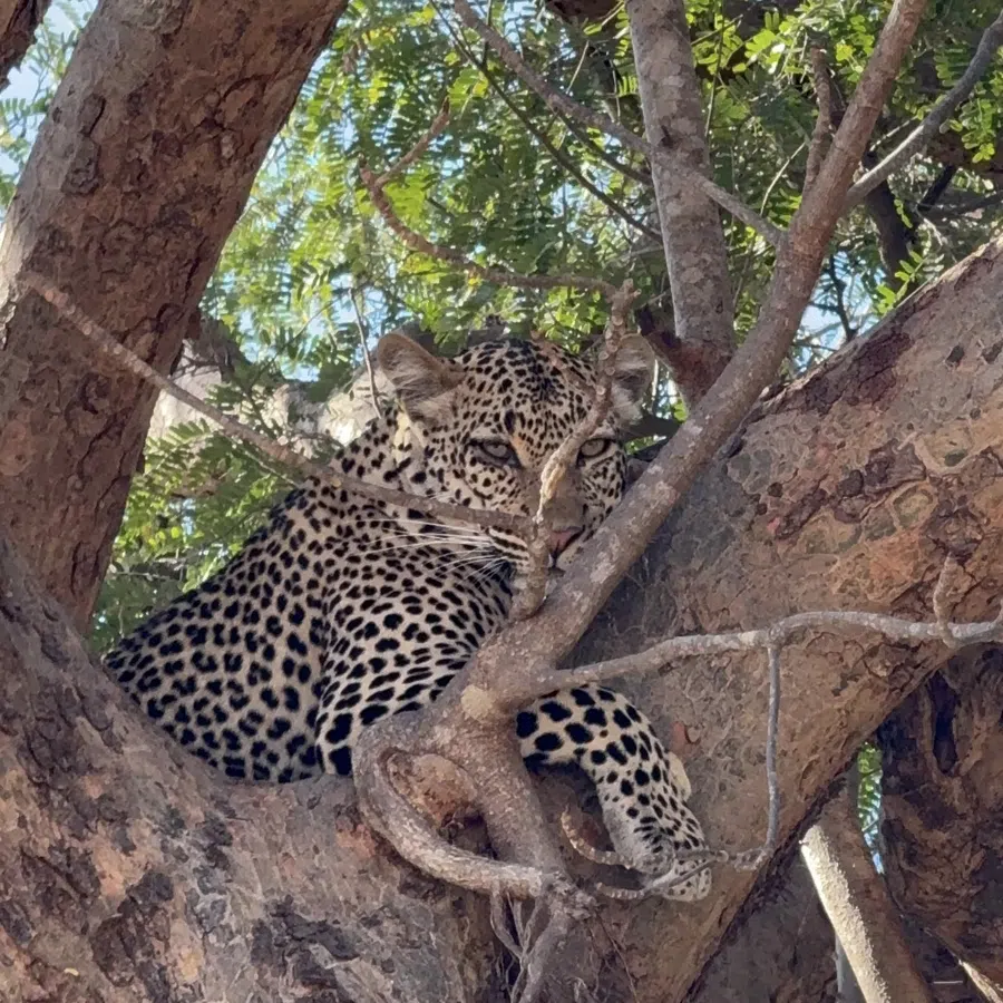10 Days Tanzania Safari