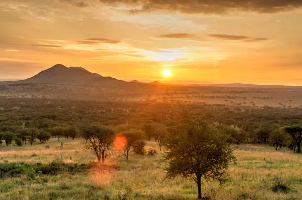 2 Day Private Safari from Moshi