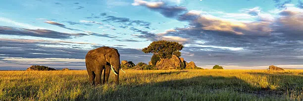 15 Days Tanzania Safari