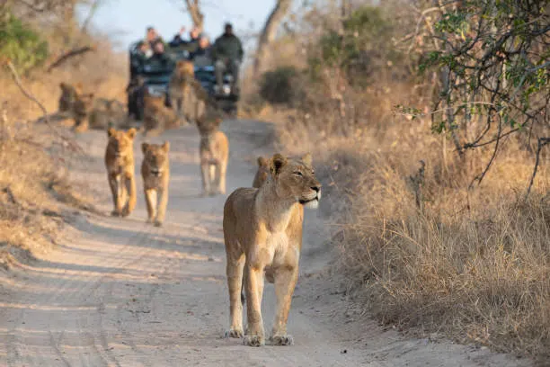 10 Days Tanzania Safari and Zanzibar