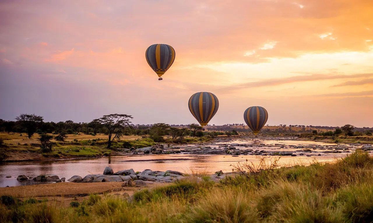 Moshi to Serengeti Safari Tour