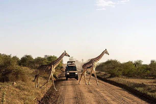 14 Days Luxury Tanzania Private Journey