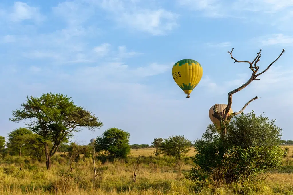 3 Days Tanzania Safari