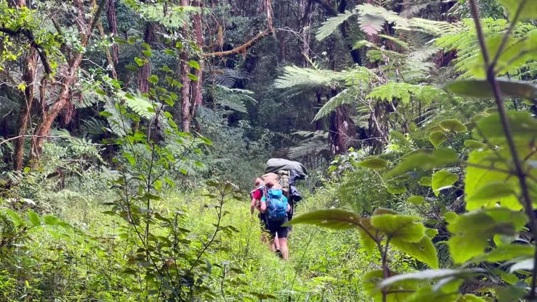 Kilimanjaro Climb and Safari Package from Moshi