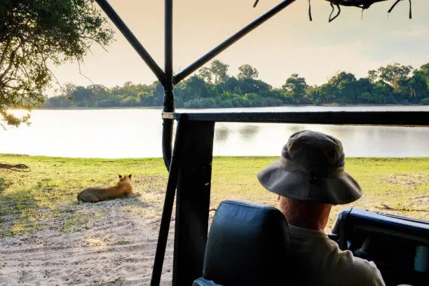 4 Days Mikumi National Park Safari