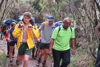 Private 1 Day Kilimanjaro Day Hike