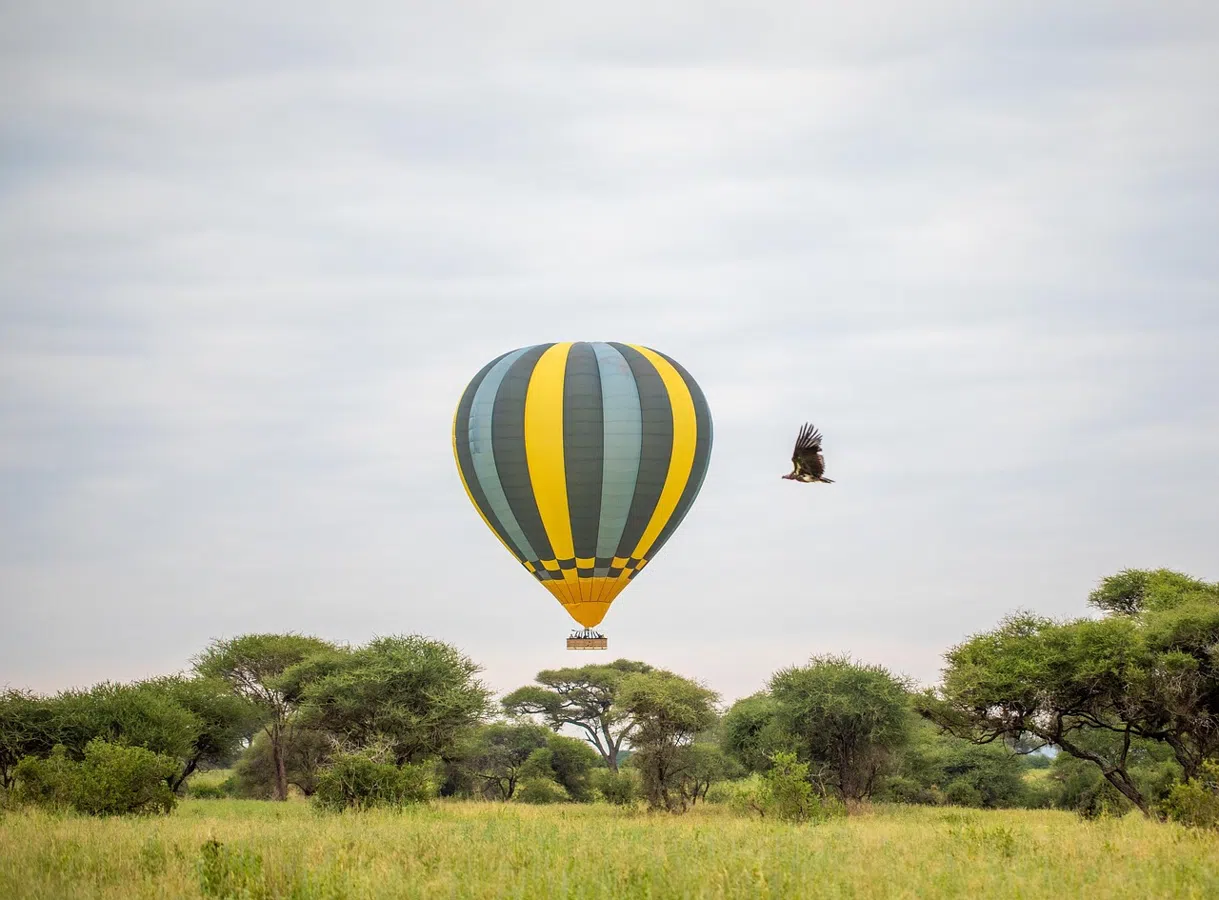 3 Days Serengeti and Ngorongoro Safari