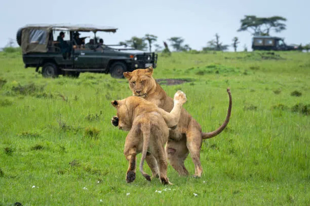 5 Days Tarangire Dry Season Safari