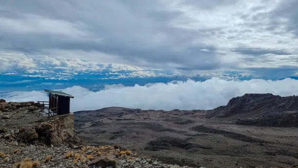 7 Day Lemosho Route Kilimanjaro