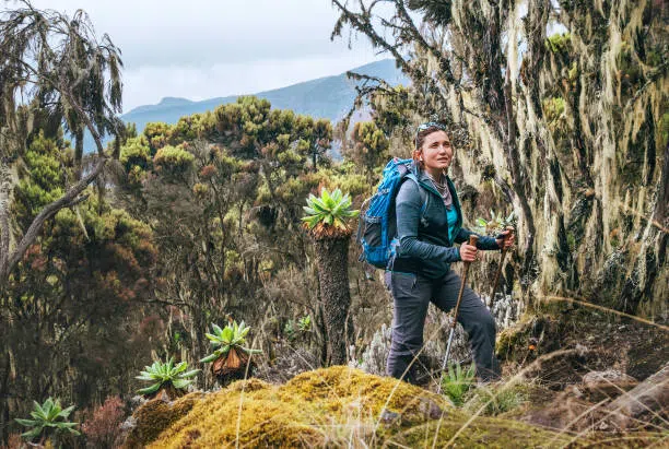 Mount Kilimanjaro Trek and Big Five Safari