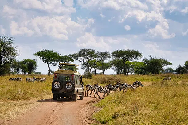 4 Days Tarangire Serengeti and Ngorongoro Safari