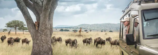 8 Days Serengeti Safari