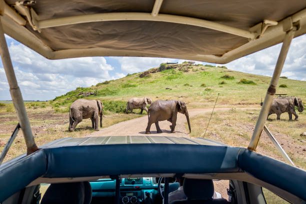 Tanzania travel image for Travis African Adventures