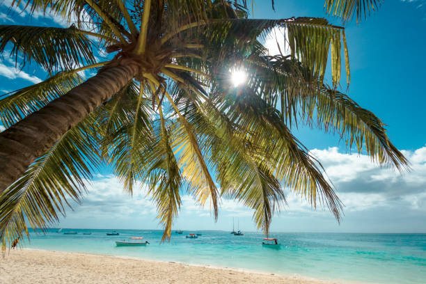 Zanzibar Island Travel Guide