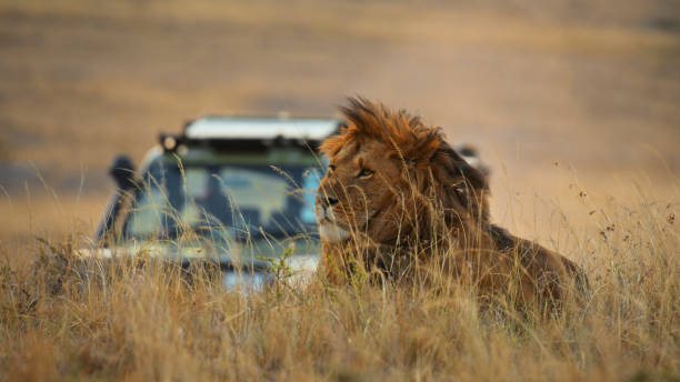 Custom Tanzania Tours