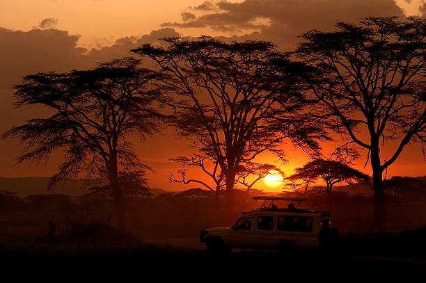15 Days Tanzania Safari