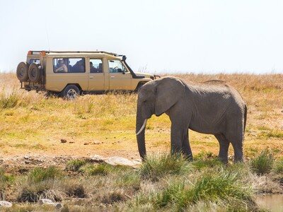 Arusha National Park Travel Guide