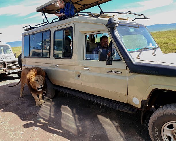 10 Days Classic Tanzania Safari