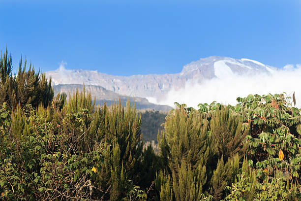 1 Day Kilimanjaro Day Tour Cost 2026-2027