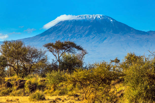 1 Day Kilimanjaro Foothills Tour 2026-2027
