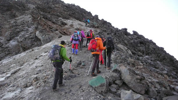 1 Day Kilimanjaro Guided Walking Tour 2026-2027