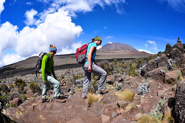 1 Day Kilimanjaro Hiking Tour Cost