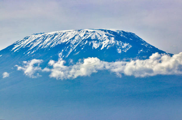 1 Day Kilimanjaro Shira Hiking Trip