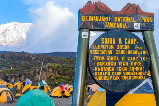 1 day kilimanjaro shira hiking trip