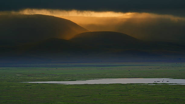 1 Day Ngorongoro Crater Safari from Moshi 2026-2027