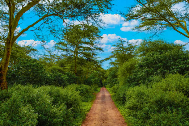 1 Day Safari from Moshi