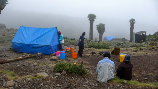2 Day Kilimanjaro Guided Hiking Package