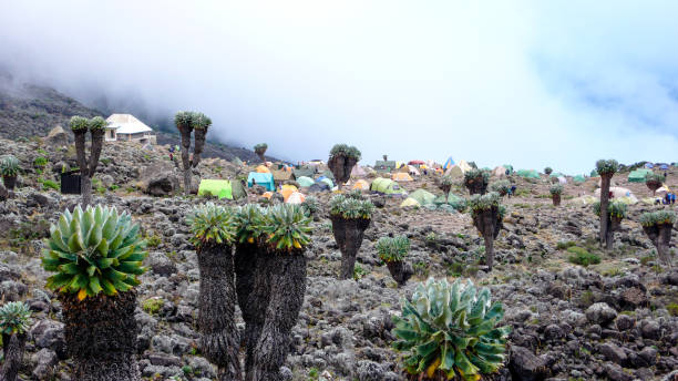 2 Day Kilimanjaro Hiking Holiday