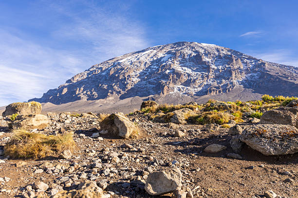 2 Day Kilimanjaro Short Hiking Tour