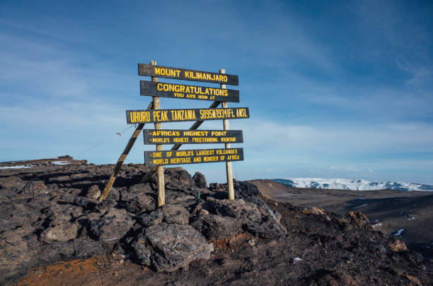 2 Day Kilimanjaro Trail Experience