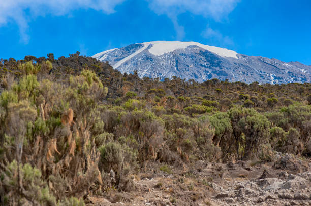 2 Day Kilimanjaro Walking Tour
