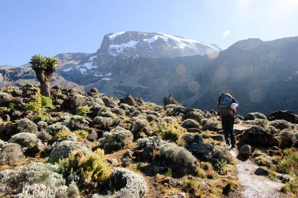 2 Day Mount Kilimanjaro Trekking Package