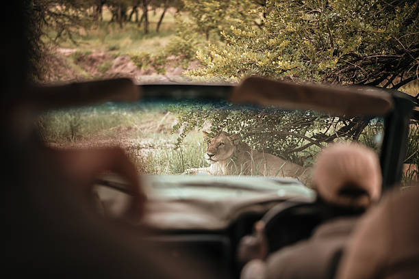 2 Days Private Safari from Moshi
