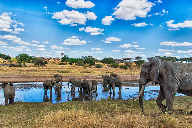 2 Days Tarangire and Ngorongoro Safari from Moshi