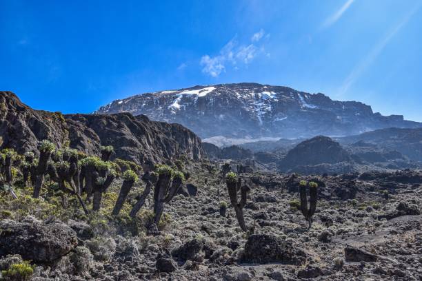 3 Day Kilimanjaro Hiking Vacation