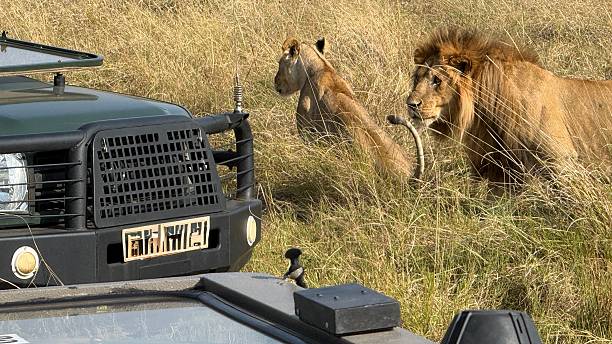 3 Days Private Safari from Moshi