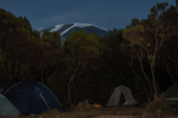 4 Day Kilimanjaro Camping Tour