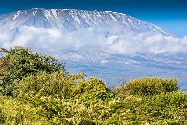 3 Day Kilimanjaro Trekking Experience from Moshi
