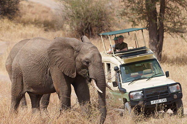 6 Day Tanzania Private Safari Package