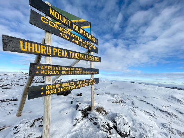 7 day kilimanjaro summit climb