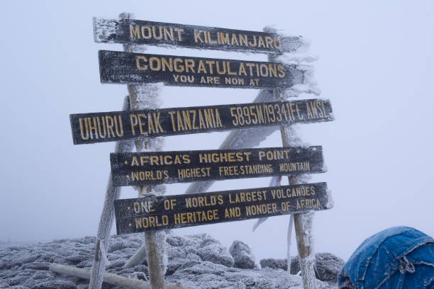 7 day kilimanjaro trek cost