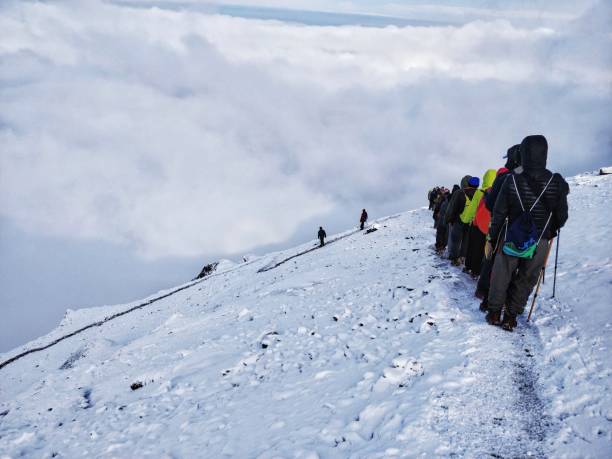 7 Day Kilimanjaro Summit Climb
