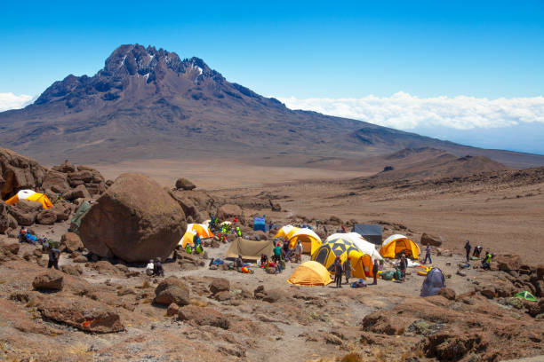7 day lemosho route cost