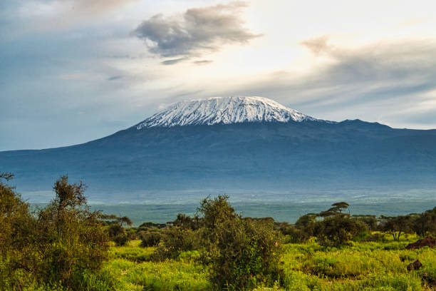 7 Day Private Lemosho Route