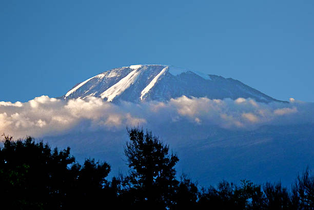 7 Day Rongai Kilimanjaro Climb